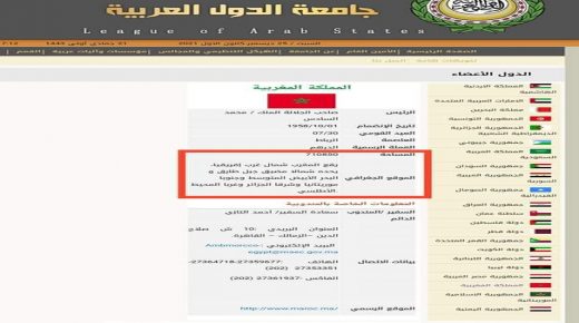 الإعلام الروسي: جامعة الدول العربية توصي باعتماد "خريطة المملكة كاملة" في جميع فعالياتها