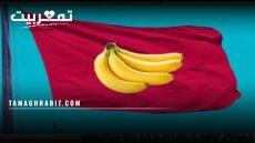 من الدول التي ينطبق عليها هذا الوصف ؟