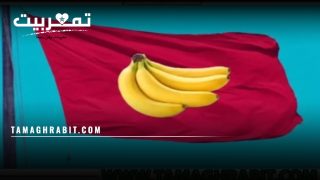 من الدول التي ينطبق عليها هذا الوصف ؟