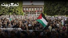 بين وهم النصر وحصاد الخراب: تحليل نقدي لخطابات تضامن غزة في المغرب