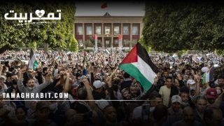 بين وهم النصر وحصاد الخراب: تحليل نقدي لخطابات تضامن غزة في المغرب