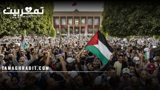 بين وهم النصر وحصاد الخراب: تحليل نقدي لخطابات تضامن غزة في المغرب
