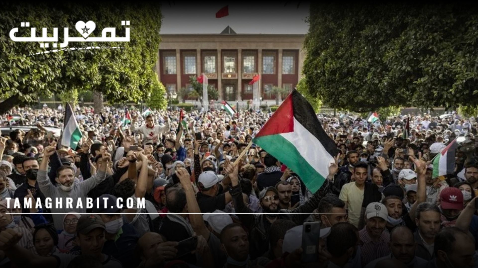 بين وهم النصر وحصاد الخراب: تحليل نقدي لخطابات تضامن غزة في المغرب